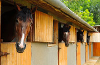 free Beddgelert stable construction quotes